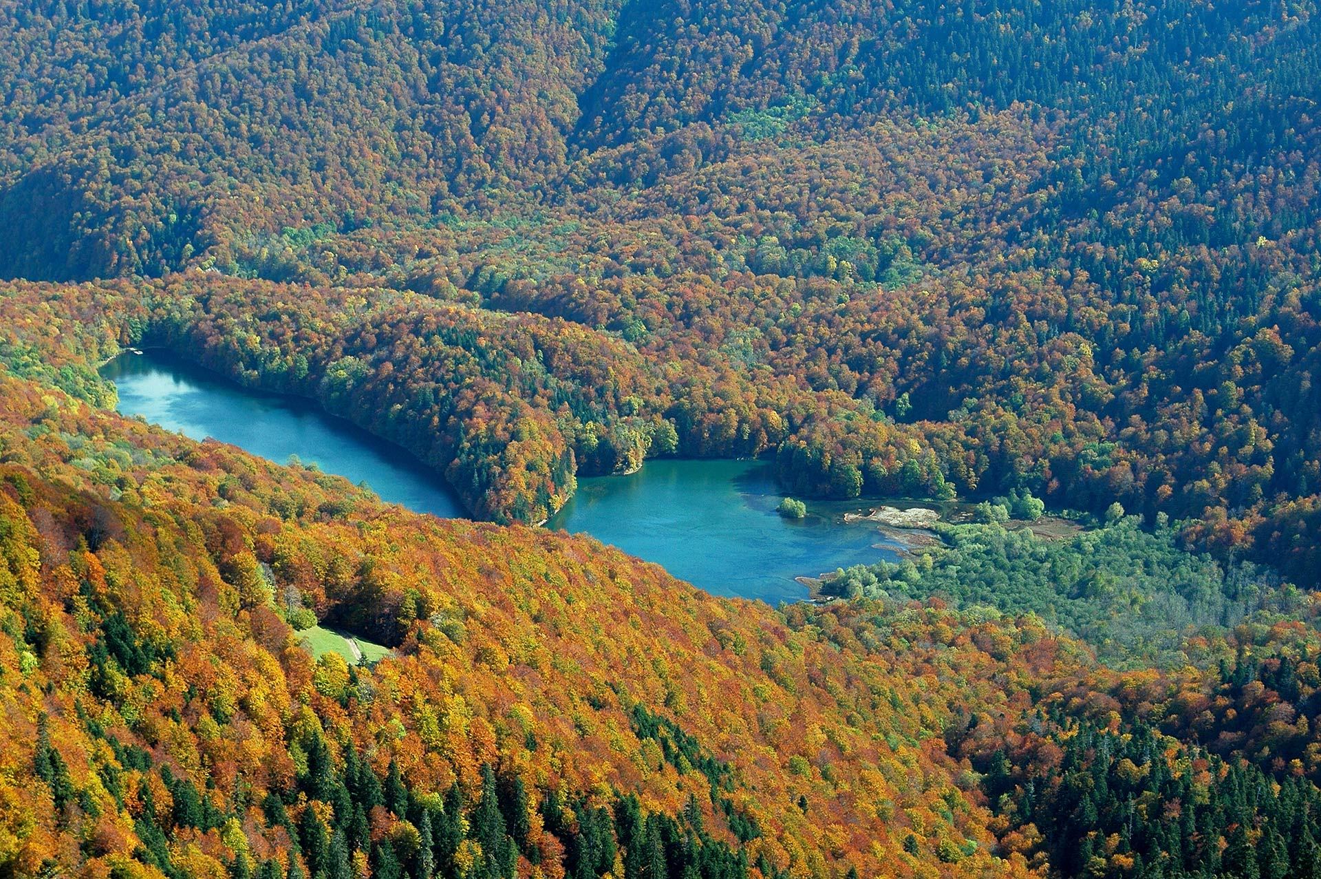 national-park-biogradska-gora-montenegro-travel-agency-adria-line
