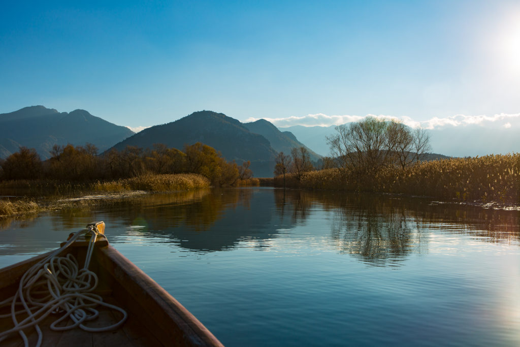 nature of skadar lake