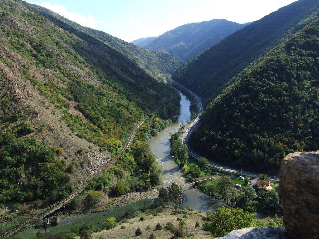 Lilacs Valley Serbia