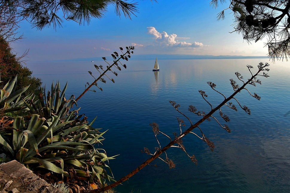 Landscape from the surroundings of Split
