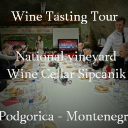 Wine tasting Montenegro