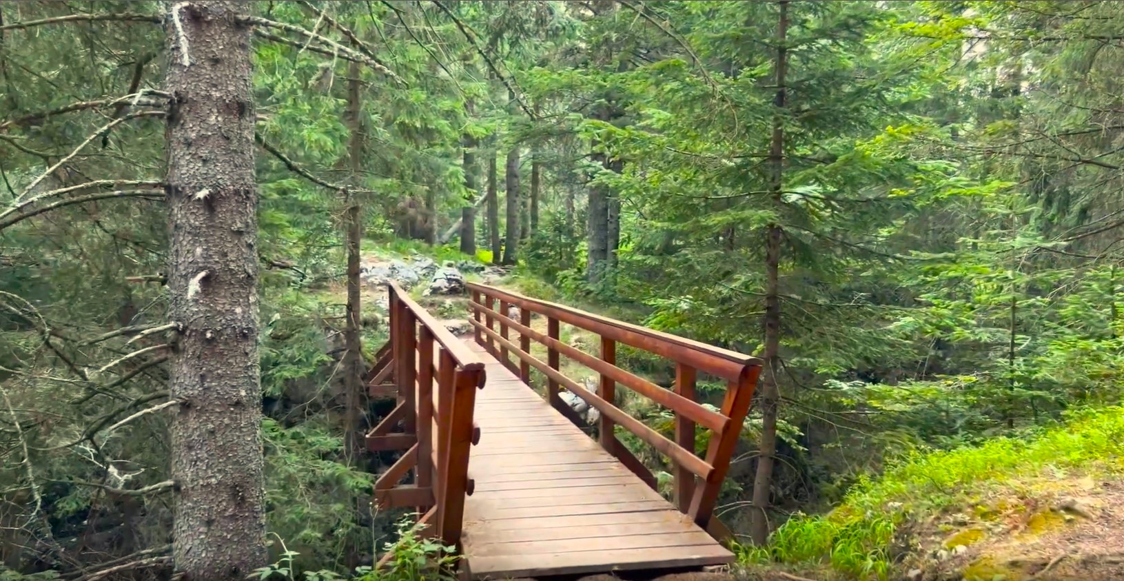 Black Lake Wooden Bridge