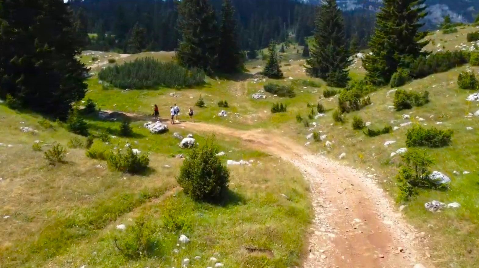 Zabljak for nature lovers