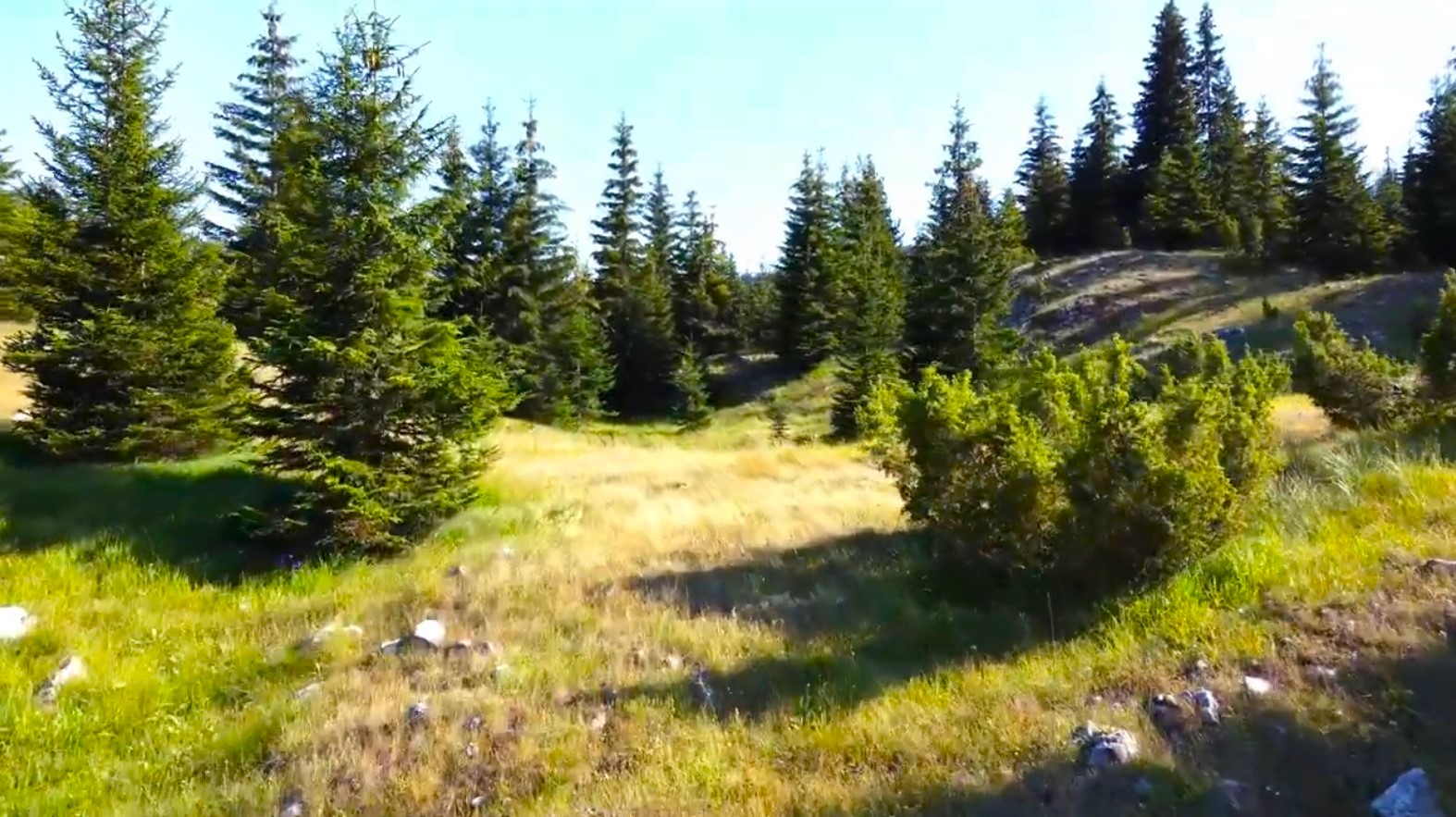 Zabljak - NP Durmitor