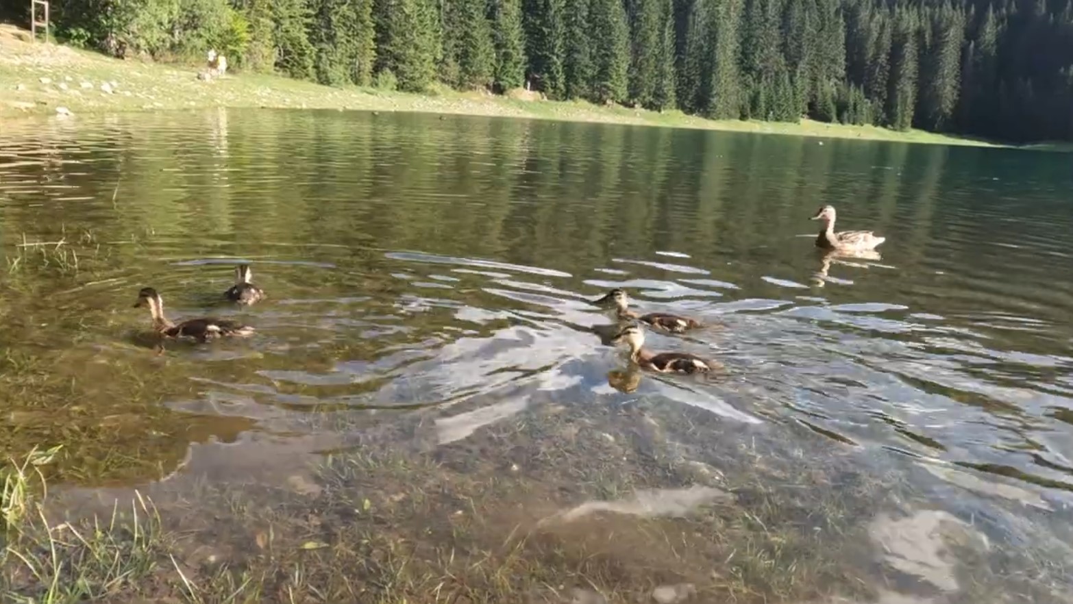 Zabljak Durmitor National Park
