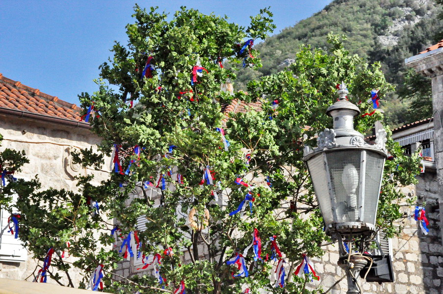 Magjo Perast