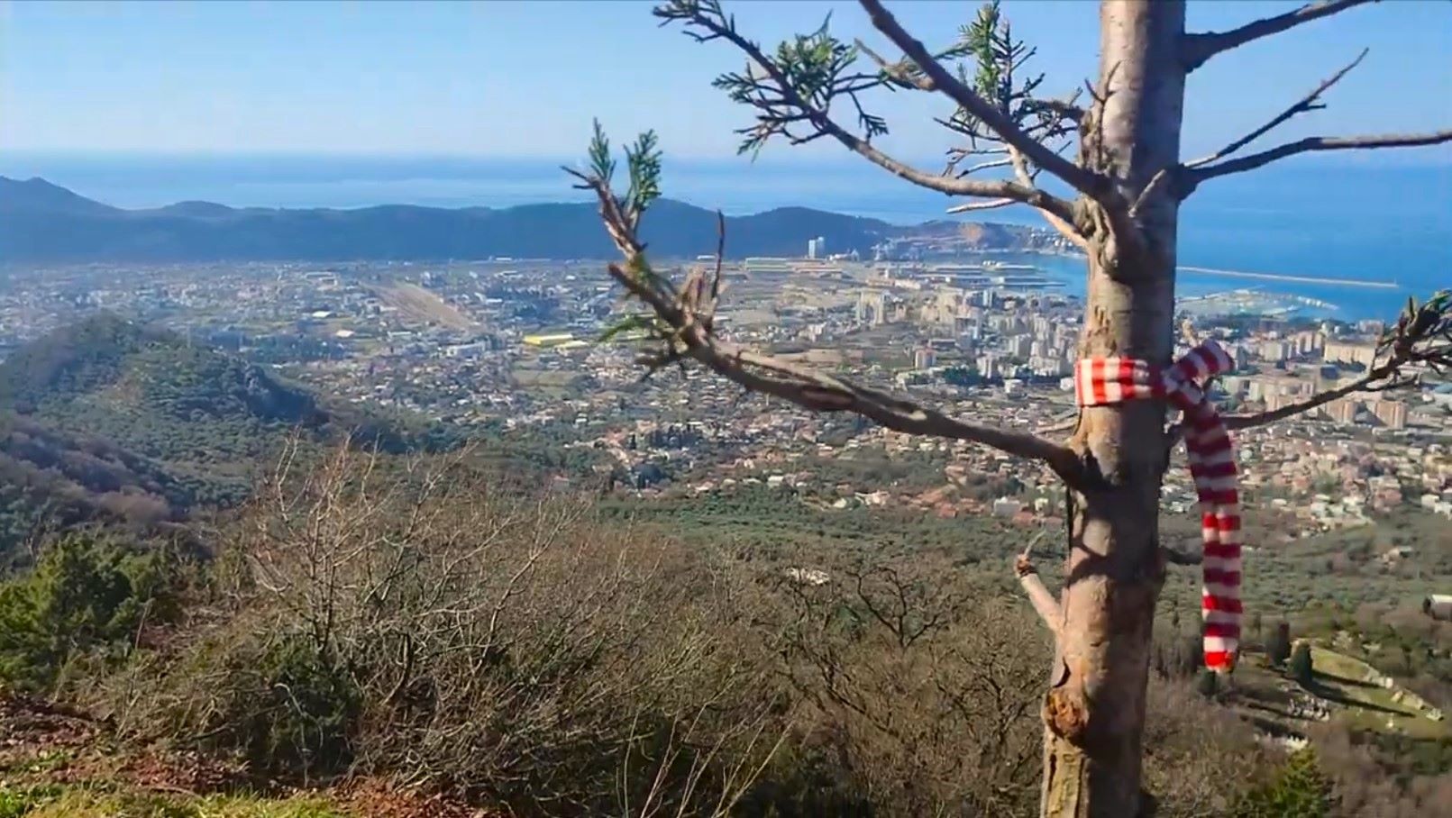 Bar from hiking trail